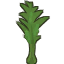 Corn plant immature.png