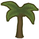 Palm tree